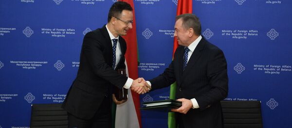 Петер Сийярто и Владимир Макей на встрече в Минске - Sputnik Беларусь