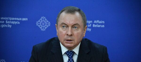 Министр иностранных дел Беларуси Владимир Макей - Sputnik Беларусь