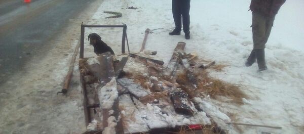 Место ДТП в Браславском районе Место ДТП в Браславском районе - Sputnik Беларусь