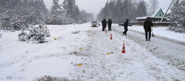 Иностранец совершил смертельное ДТП по Слуцком - Sputnik Беларусь