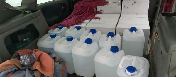 240 литров спиртного было конфисковано в Витебской области - Sputnik Беларусь