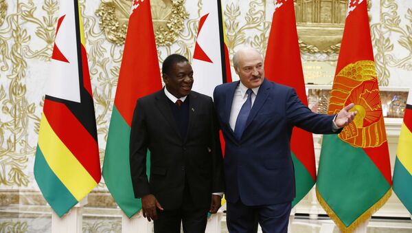 Президент Беларуси Александр Лукашенко и президент Зимбабве Эммерсон Мнангагва - Sputnik Беларусь