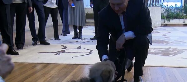 Вучич подарил щенка Путину - Sputnik Беларусь