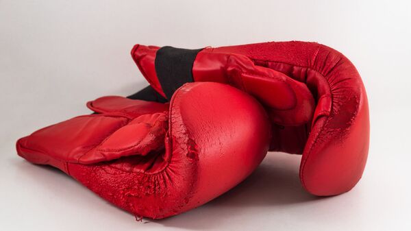 Боксерские перчатки, архивное фото - Sputnik Беларусь
