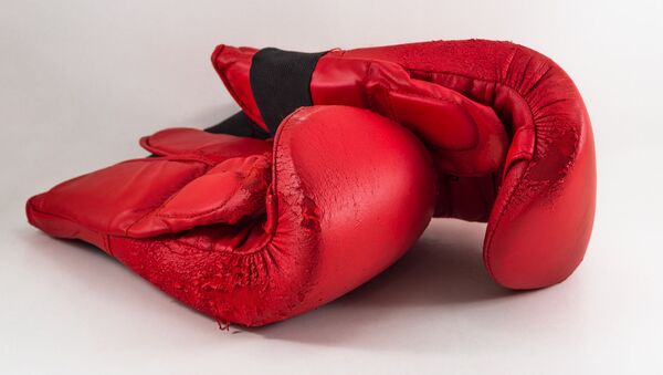 Боксерские перчатки. Архивное фото - Sputnik Беларусь
