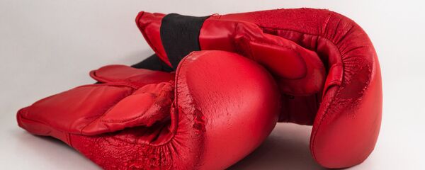 Боксерские перчатки, архивное фото Боксерские перчатки, архивное фото - Sputnik Беларусь