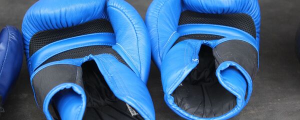 Перчатки боксерские, архивное фото - Sputnik Беларусь