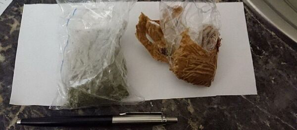 Милиция прервала вечеринку с наркотиками в Минске - Sputnik Беларусь