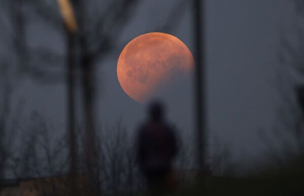 Это затмение стало первым лунным затмением в 2019 году - Sputnik Беларусь