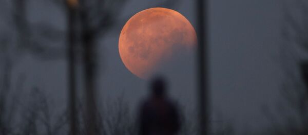 Это затмение стало первым лунным затмением в 2019 году - Sputnik Беларусь