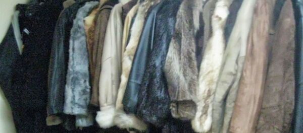 Факты незаконной реализации партии одежды из меха и кожи выявили могилевские таможенники - Sputnik Беларусь