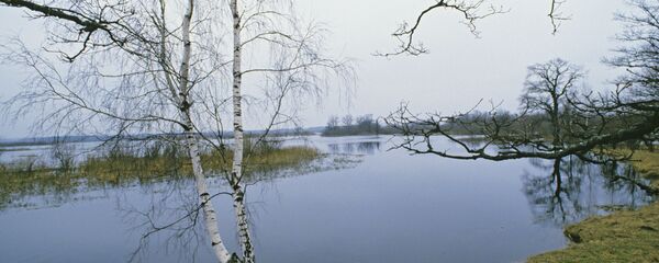 Березинский биосферный государственный заповедник - Sputnik Беларусь