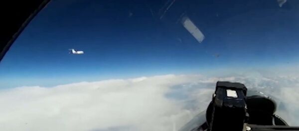 Перехват самолета ВВС Швеции - Sputnik Беларусь