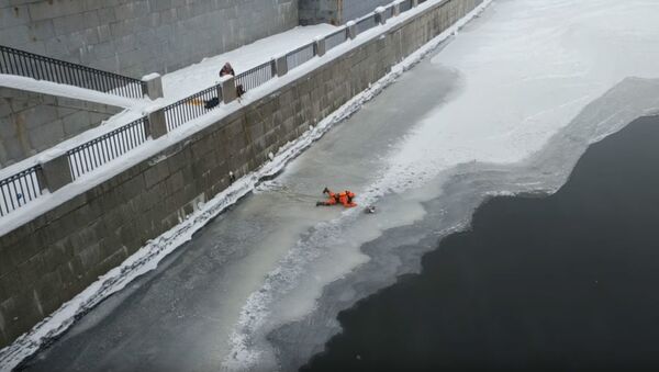 Женщина-волонтер спасла утку, вмерзшую в лед на реке - Sputnik Беларусь