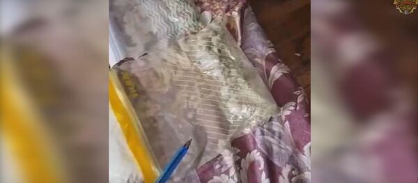 УВД показало, как допрашивали крупного драгдилера из России - Sputnik Беларусь