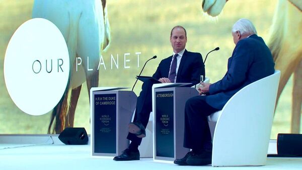 Принц Уильям выступил в Швейцарии в дырявом ботинке и шокировал публику Принц Уильям выступил в Швейцарии в дырявом ботинке и шокировал публику - Sputnik Беларусь