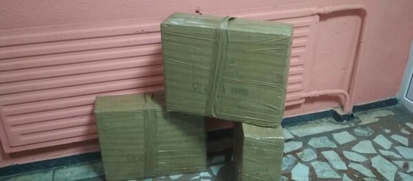 Изъятая партия насвая - Sputnik Беларусь