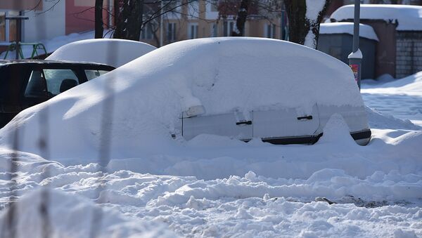 Не все автовладельцы вспоминают о том, что нужно очистить своих ласточек от снега - Sputnik Беларусь