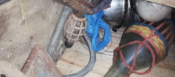 Найденная у сельчанина граната - Sputnik Беларусь