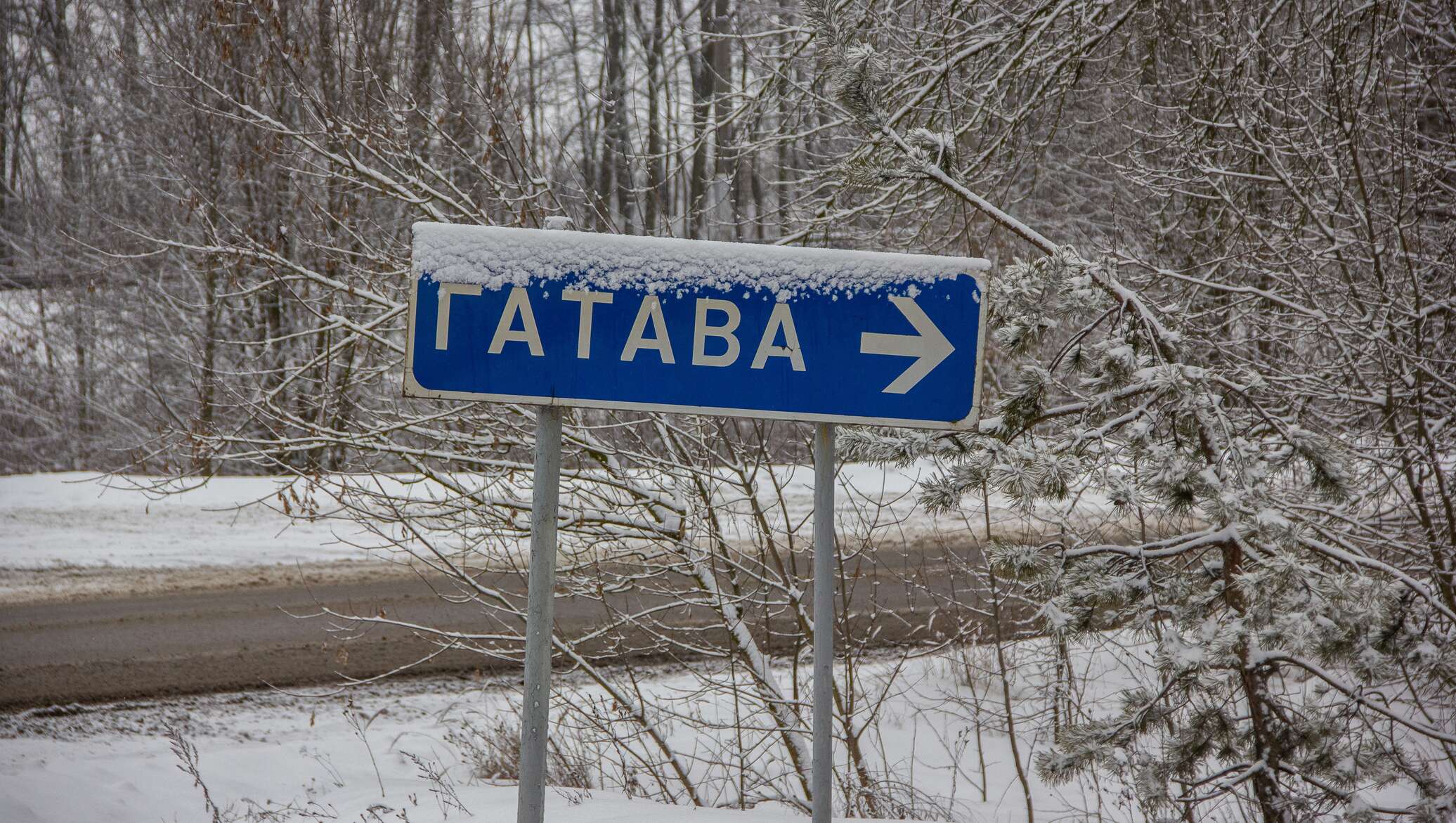 Зловонное Гатово: жители задыхаются, а им строят новый объект 