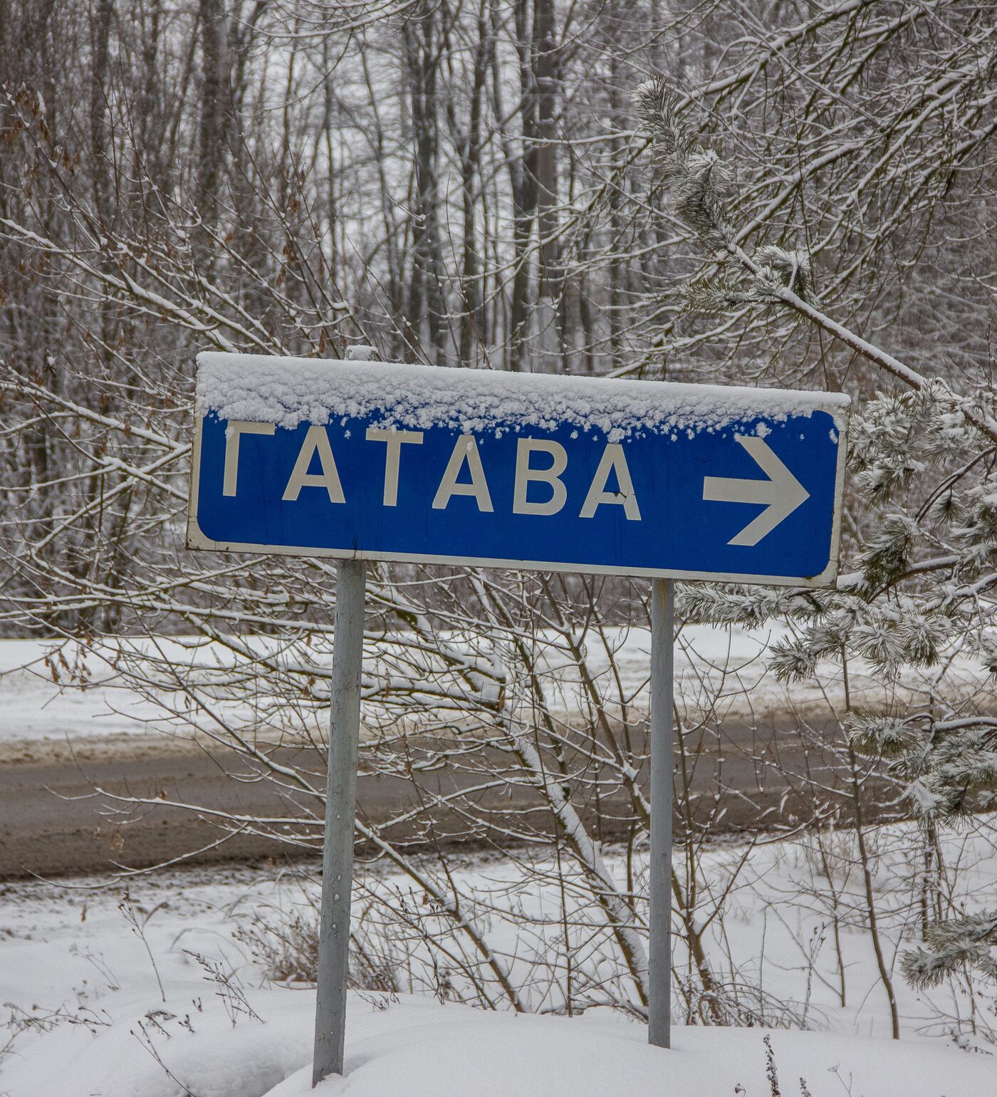 Зловонное Гатово: жители задыхаются, а им строят новый объект 