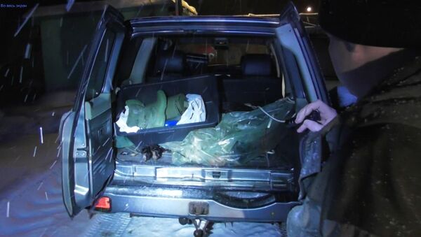 Автомобиль, в котором перевозили незаконно убитое животное  - Sputnik Беларусь
