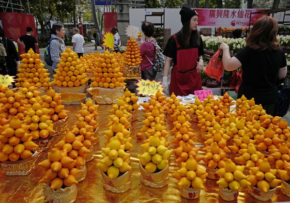 На тайваньскім рынку ў Тайбэі можна купіць навагодняе ўпрыгожванне з лісніка сасочкавана Solanum mammosum, сімвалізуючага шчасце. - Sputnik Беларусь