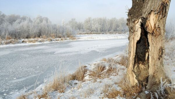 Зимняя река, архивное фото - Sputnik Беларусь