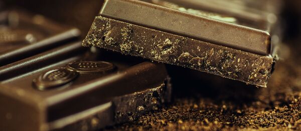 Шакалад, архіўнае фота - Sputnik Беларусь