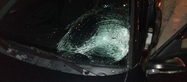 Машина, сбившая мужчину Машина, сбившая мужчину - Sputnik Беларусь