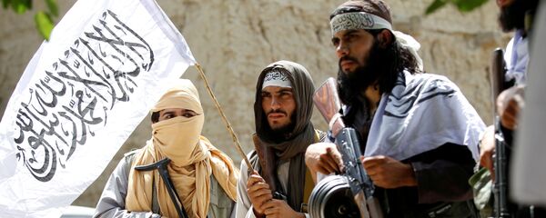 Талибы празднуют прекращение огня в провинции Нангархар, Афганистан - Sputnik Беларусь