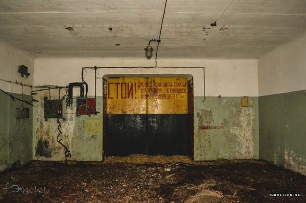 Что осталось от ядерного наследства СССР в белорусских лесах Что осталось от ядерного наследства СССР в белорусских лесах - Sputnik Беларусь