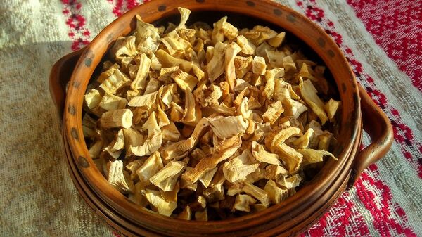 Сушаная цыкорыя - Sputnik Беларусь