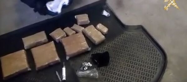 Россиянин вез из Литвы 63 кг гашиша, видео - Sputnik Беларусь