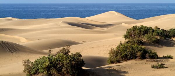 Дюны на острове Гран-Канария в Испании Дюны на острове Гран-Канария в Испании - Sputnik Беларусь