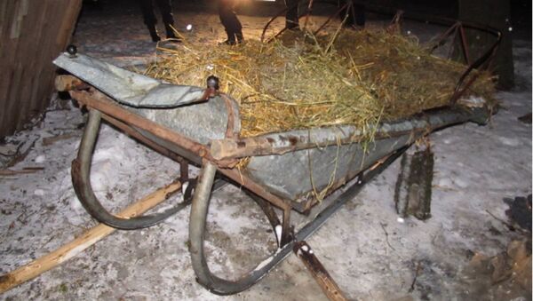 Шестилетний мальчик погиб в результате заноса конных саней - Sputnik Беларусь
