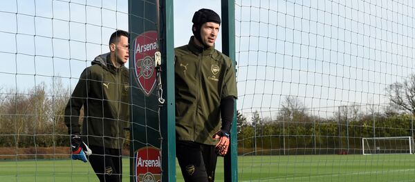 Вратарь Арсенала Петр Чех во время тренировки - Sputnik Беларусь