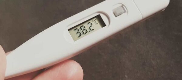 Градусник Домрачевой - Sputnik Беларусь