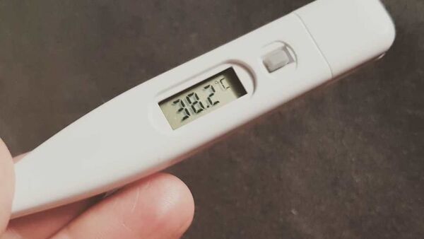 Градусник, фото для иллюстрации - Sputnik Беларусь