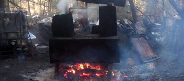 Мобильный мини-завод по производству самогона Мобильный мини-завод по производству самогона - Sputnik Беларусь