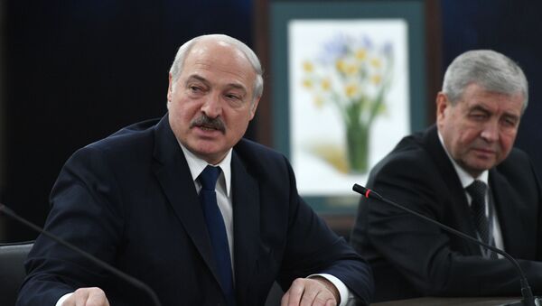Александр Лукашенко на встрече в Владимиром Путиным в Сочи - Sputnik Беларусь