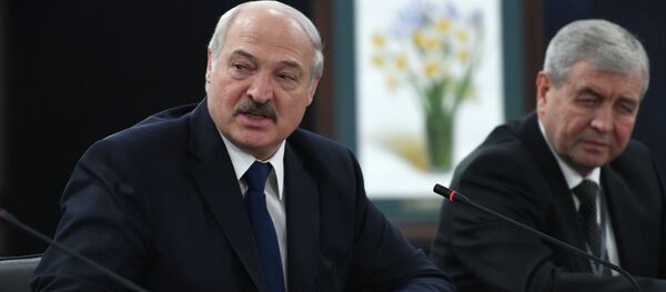 Александр Лукашенко на встрече в Владимиром Путиным в Сочи - Sputnik Беларусь