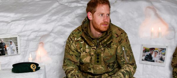 Принца Гарри подбодрили фотографиями Меган Маркл в День всех влюбленных - Sputnik Беларусь