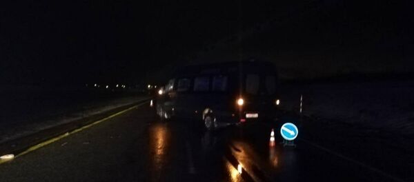 В Оршанском районе микроавтобус тяжело травмировал женщину - Sputnik Беларусь