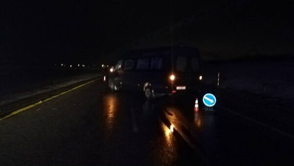 В Оршанском районе микроавтобус тяжело травмировал женщину - Sputnik Беларусь