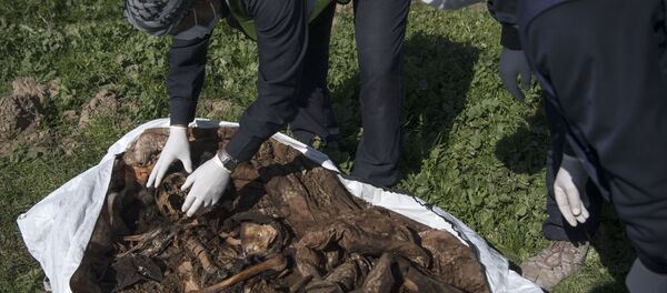 Найденные в Ракке останки Найденные в Ракке останки - Sputnik Беларусь