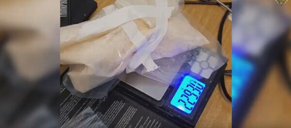 УВД показало, как ломали дверь в квартиру молодой пары наркоторговцев УВД показало, как ломали дверь в квартиру молодой пары наркоторговцев - Sputnik Беларусь