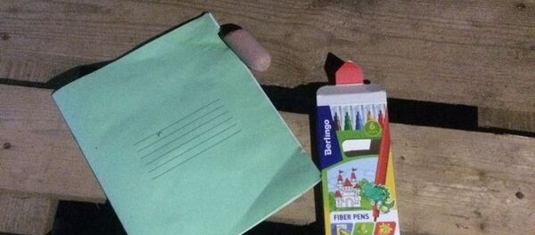 Пропавших школьниц искали в Гродно до 4-х часов утра - Sputnik Беларусь