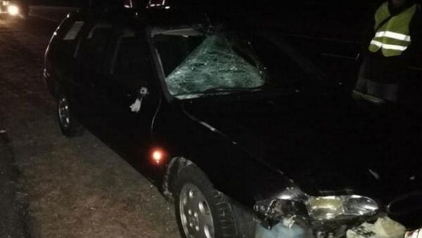 Легковушка насмерть сбила пешехода на трассе М1 в Кобринском районе - Sputnik Беларусь