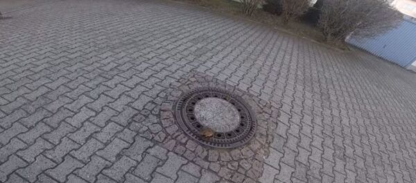 Спасатели помогли толстой крысе, застрявшей в канализационном люке - Sputnik Беларусь